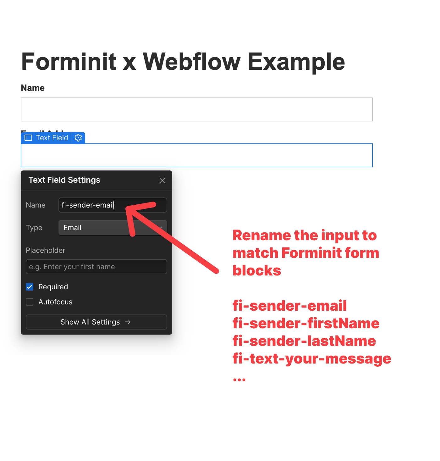 Rename input fields